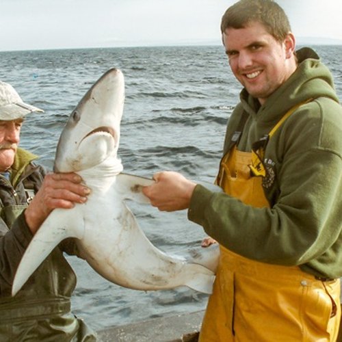 Fishing Trip Boat In Rossaveel