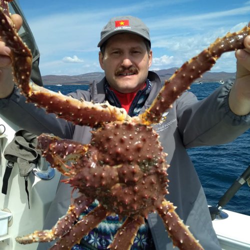 аренда катера